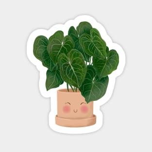 Cute Plant Illustration,  Anthurium Magnificum 4 Sticker